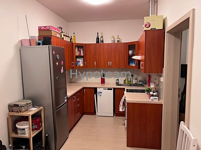 Pronájem bytu 2+1, 55 m² (3 z 10)
