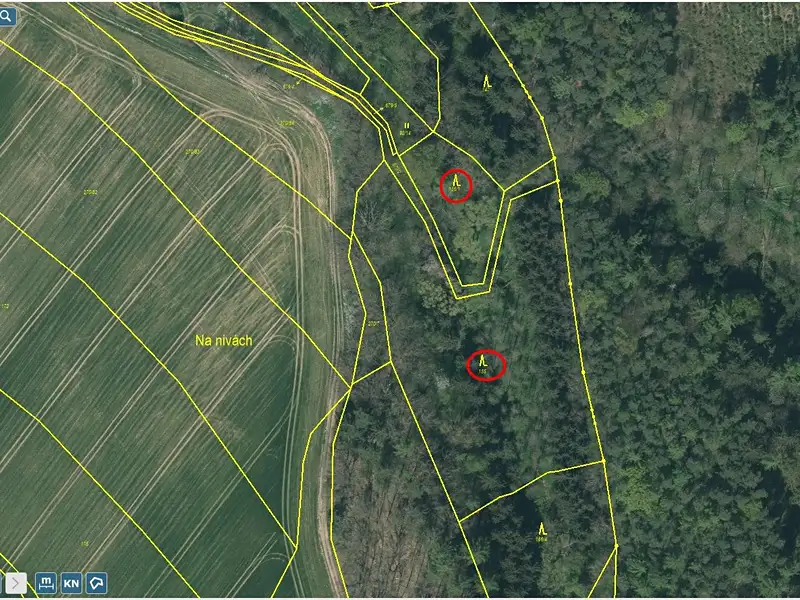 Prodej lesa 23812 m², Bečice – náhled fotky 2