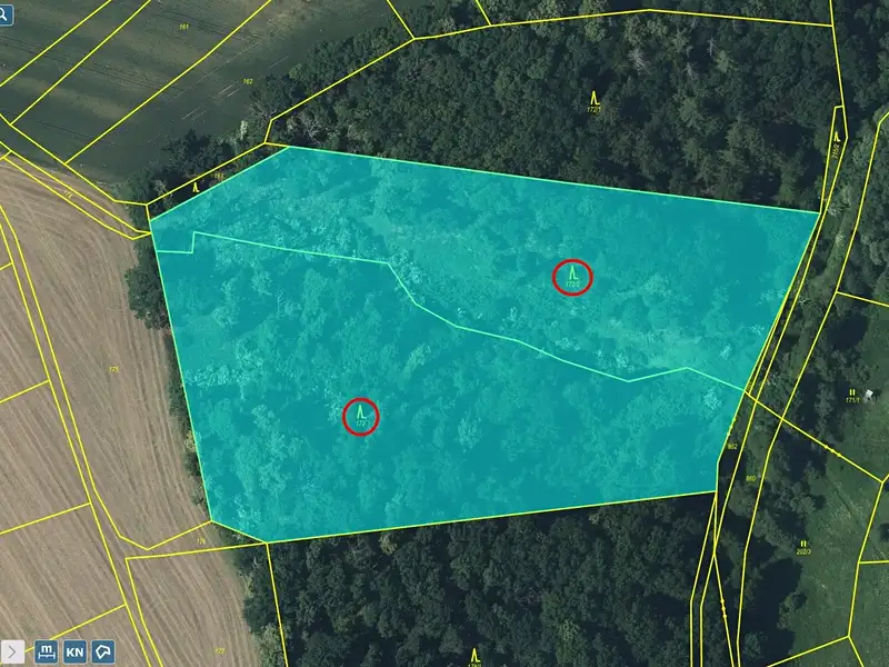 Prodej lesa 21606 m², Kovanec – náhled fotky 1