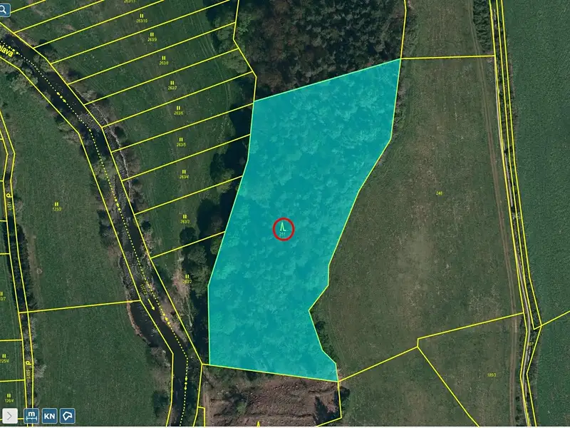 Prodej lesa 9664 m², Číchov – náhled fotky 1