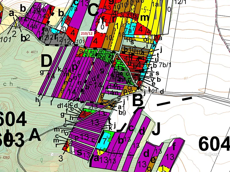 Dražba lesa 833 m², Břežany – náhled fotky 3