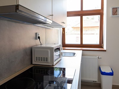 Wohnung 1+kk zur Miete, 17 m² (3 von 9)