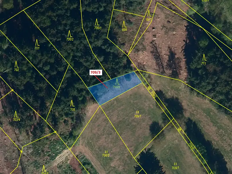 Dražba lesa 350 m², Řečice – náhled fotky 2