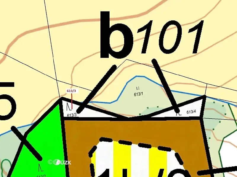 Dražba lesa 180 m², Záboří – náhled fotky 3