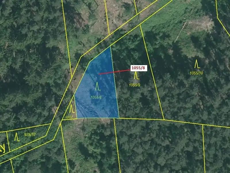 Dražba lesa 546 m², Milavče – náhled fotky 2
