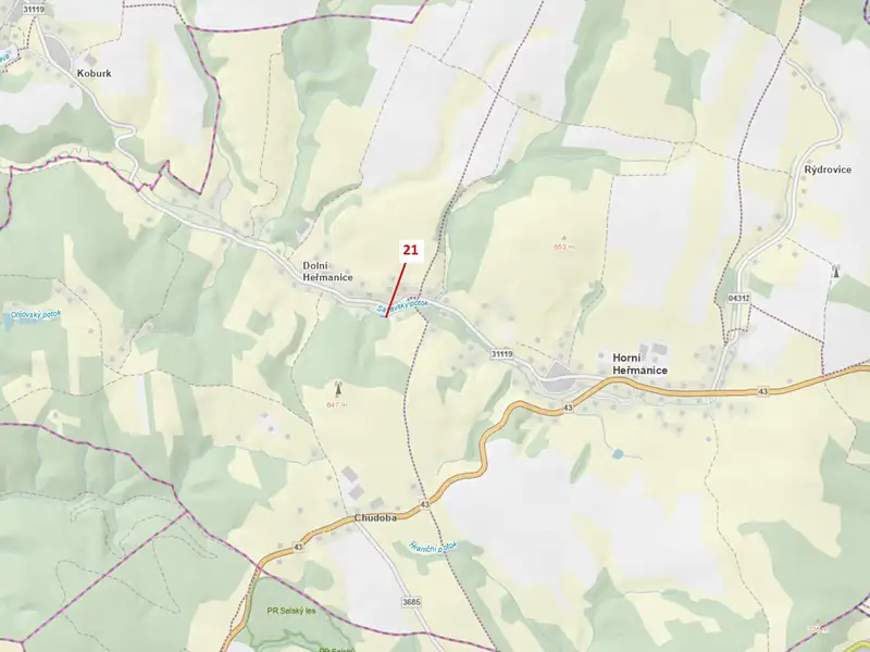 Dražba lesa 187 m², Horní Heřmanice – náhled fotky 1