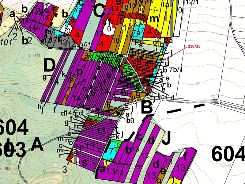 Dražba lesa 198 m², Břežany – náhled fotky 3