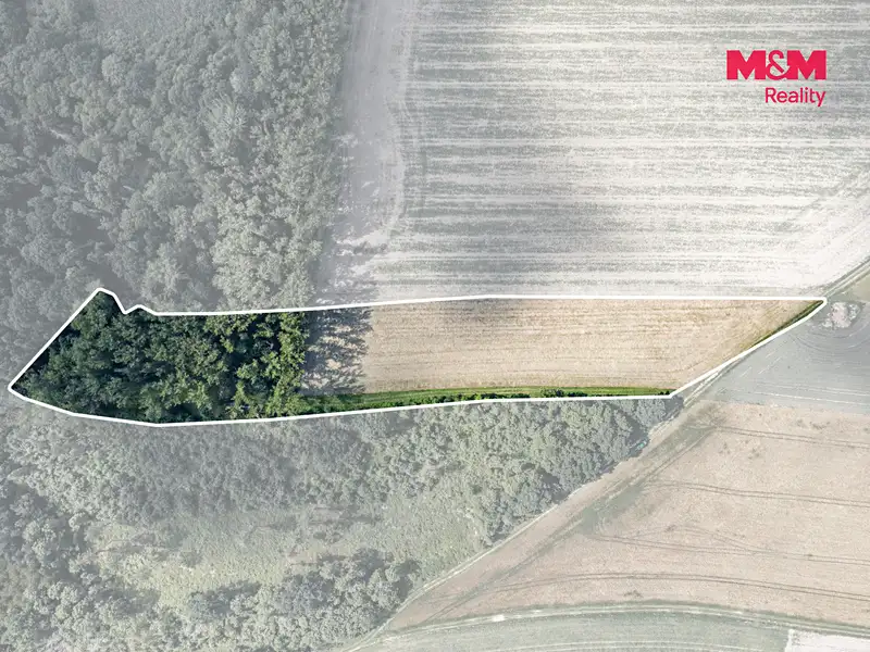 Prodej lesa 11971 m², Bohuslavice – náhled fotky 2