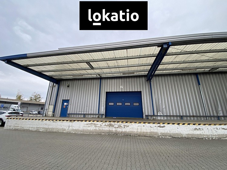 Ostatní