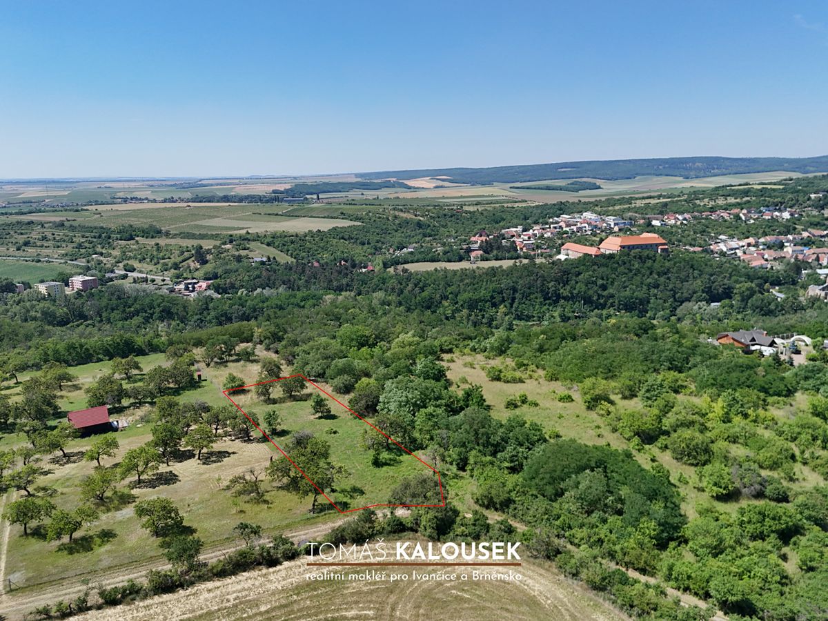 Prodej sadu, vinice 2107 m², Dolní Kounice – fotka 1 z 3