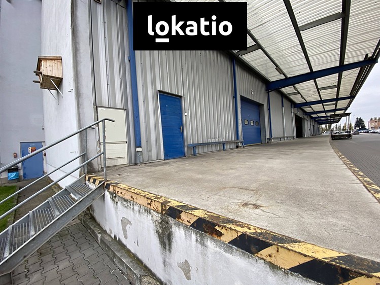 Ostatní