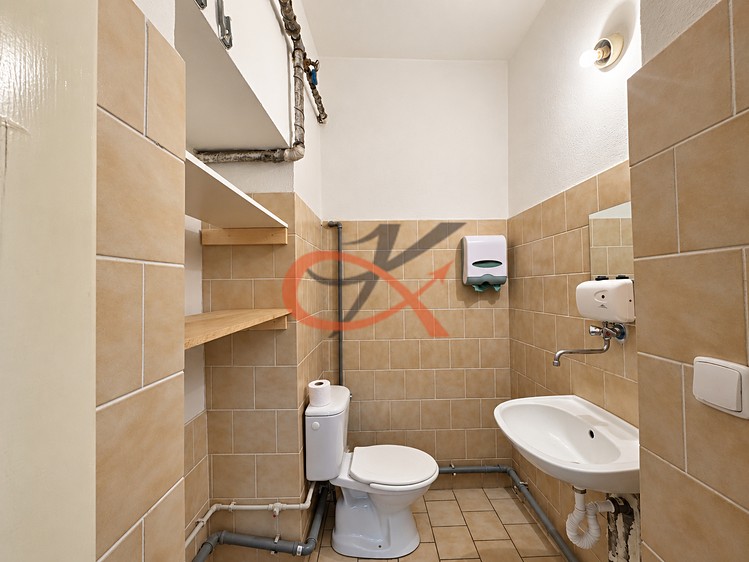 Pronájem komerčního prostoru, 20 m² (6 z 6)