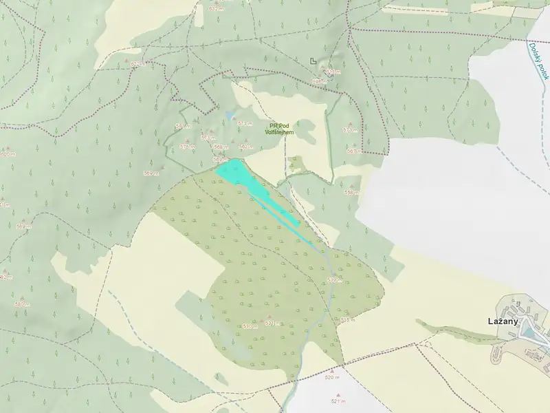 Dražba pozemku 17271 m², Černošín – náhled fotky 2