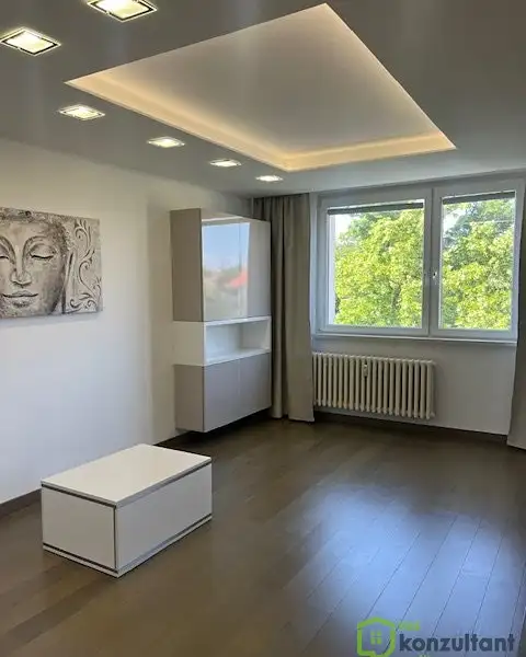 Pronájem bytu 2+kk 58 m², Olomouc – náhled fotky 1