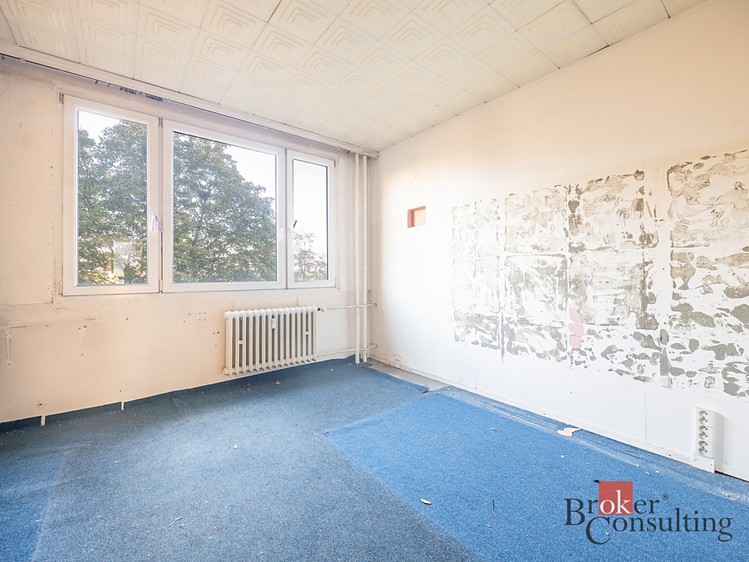 Prodej bytu 3+1, 65 m² (11 z 36)
