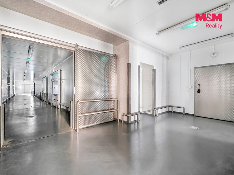 Gewerbefläche zur Miete, 726 m² (8 von 30)