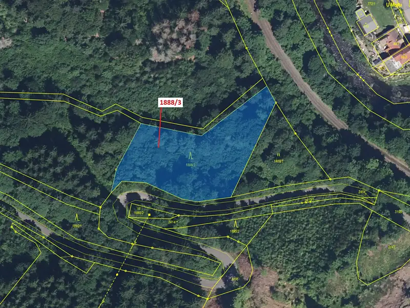 Dražba lesa 3360 m², Držkov – náhled fotky 2