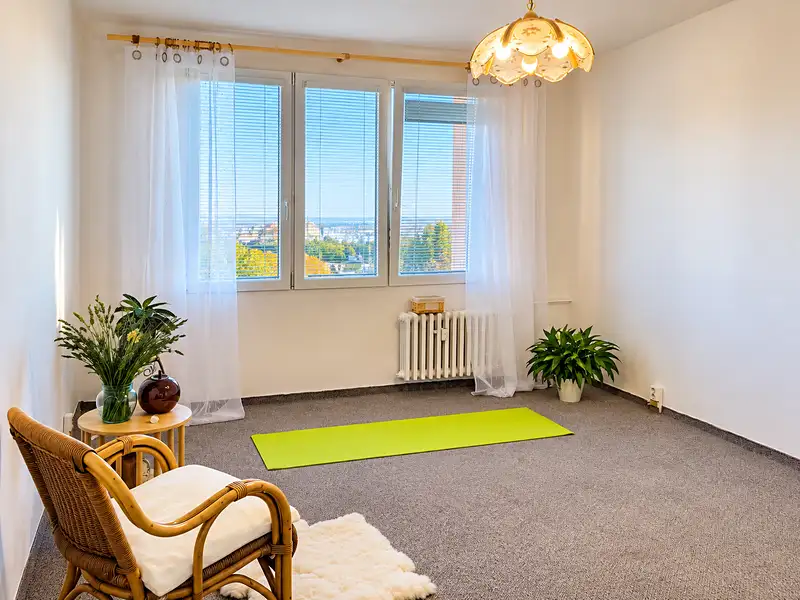 Prodej bytu 2+kk 40 m², Plzeň – náhled fotky 3