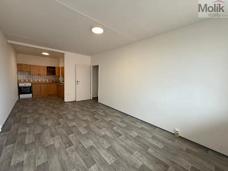 Pronájem bytu 2+kk 48 m², Bílina – náhled fotky 2