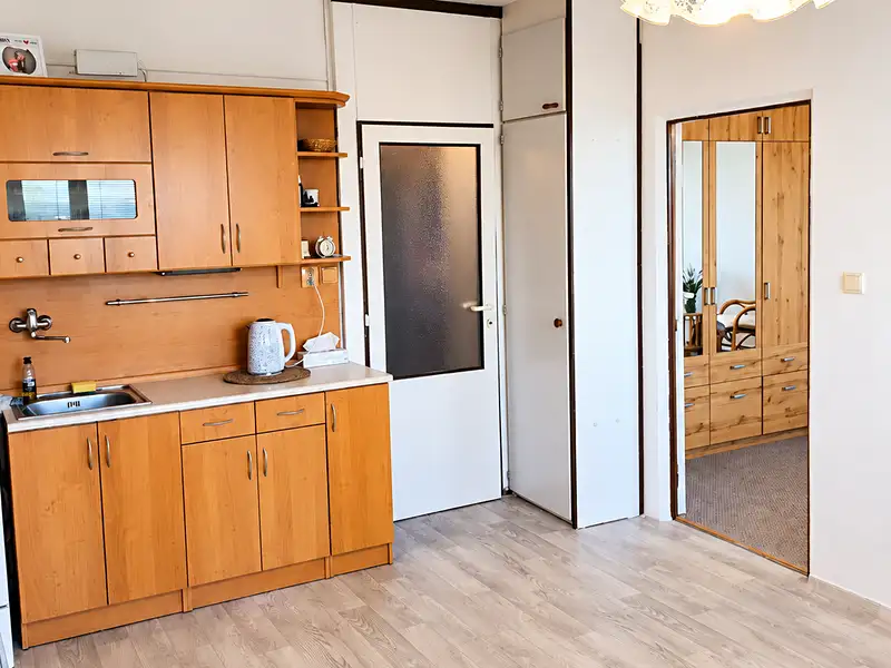 Prodej bytu 2+kk 40 m², Plzeň – náhled fotky 2