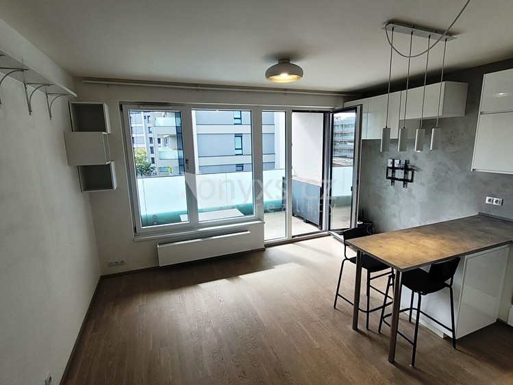 Pronájem bytu 1+kk, 33 m² (12 z 22)