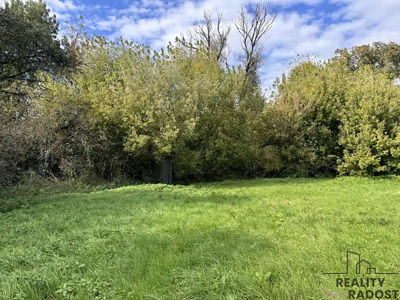 Prodej louky 3793 m², Rohatec – náhled fotky 1