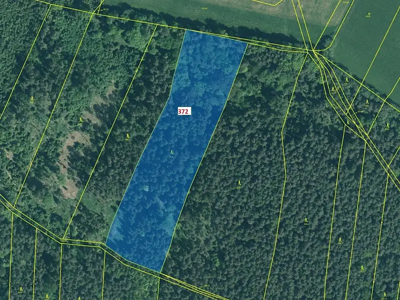 Dražba lesa 16547 m², Záhoří – náhled fotky 2