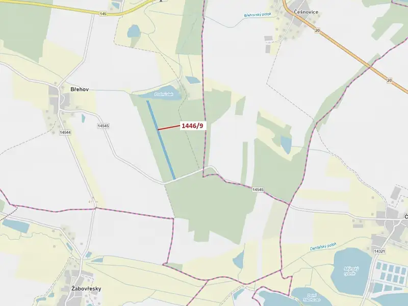 Dražba lesa 19879 m², Břehov – náhled fotky 1