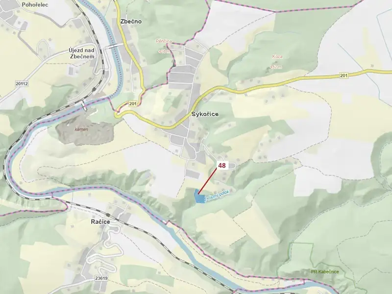 Dražba lesa 8962 m², Sýkořice – náhled fotky 1