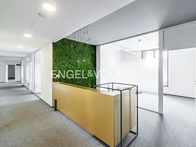 Pronájem komerčního prostoru, 417 m² (2 z 12)