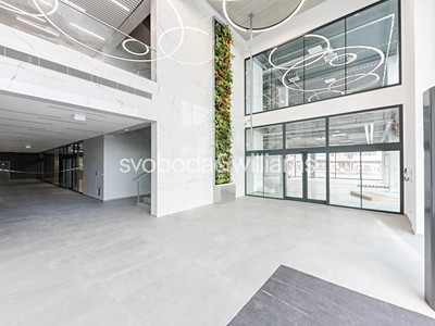 Комерційне приміщення в оренду, 199 м² (3 з 13)