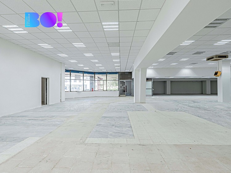 Pronájem komerčního prostoru, 2 029 m² (4 z 15)