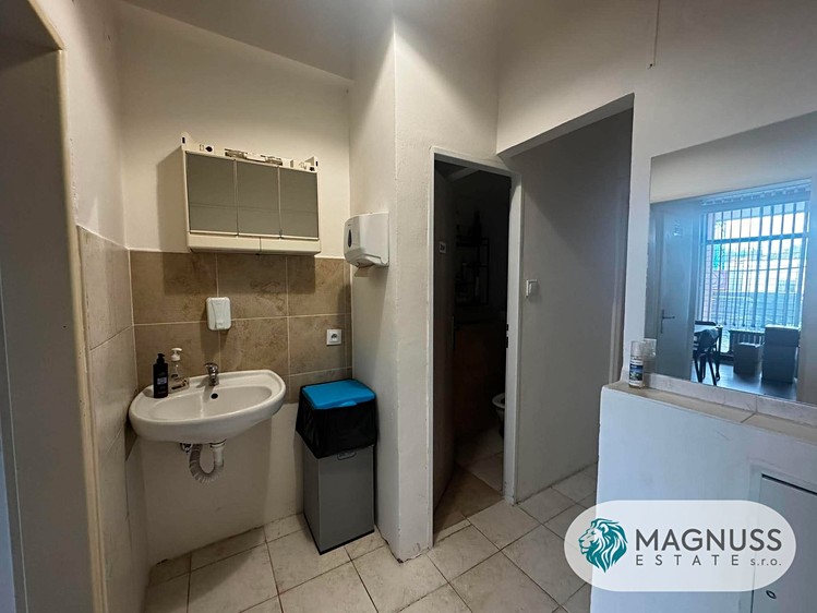 Gewerbefläche zur Miete, 125 m² (14 von 19)