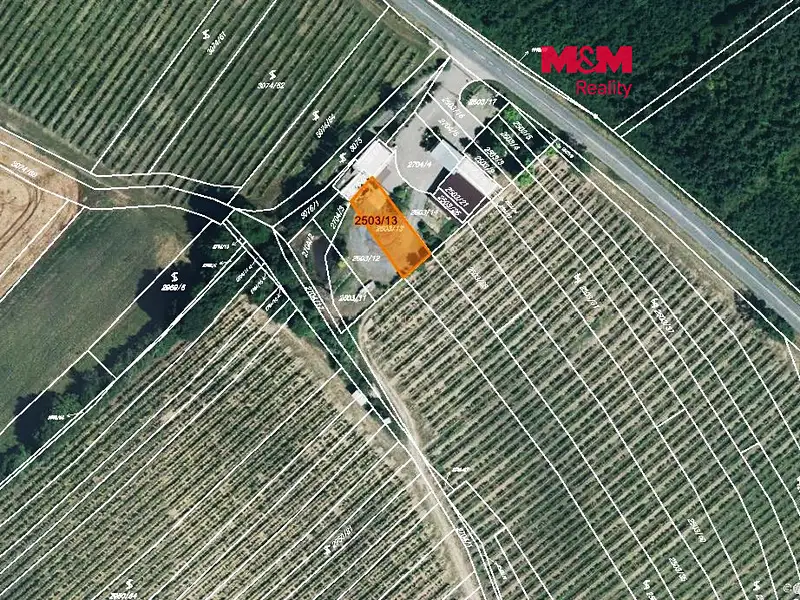 Prodej pole 300 m², Dolní Bojanovice – náhled fotky 1