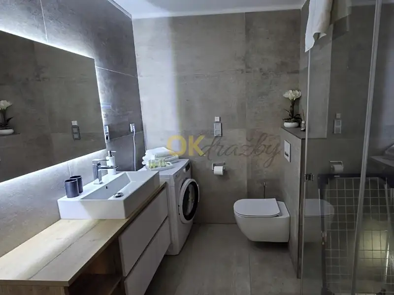 Dražba bytu 1+kk 35 m², Lipno nad Vltavou – náhled fotky 3