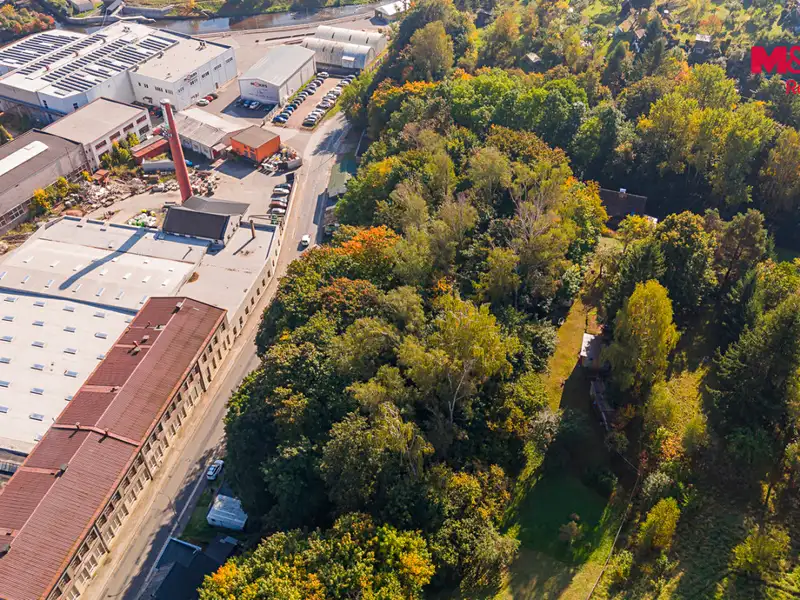Prodej lesa 3640 m², Úpice – náhled fotky 2