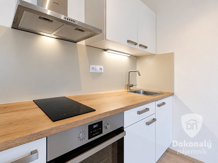 Wohnung 1+kk zur Miete, 30 m² (7 von 18)