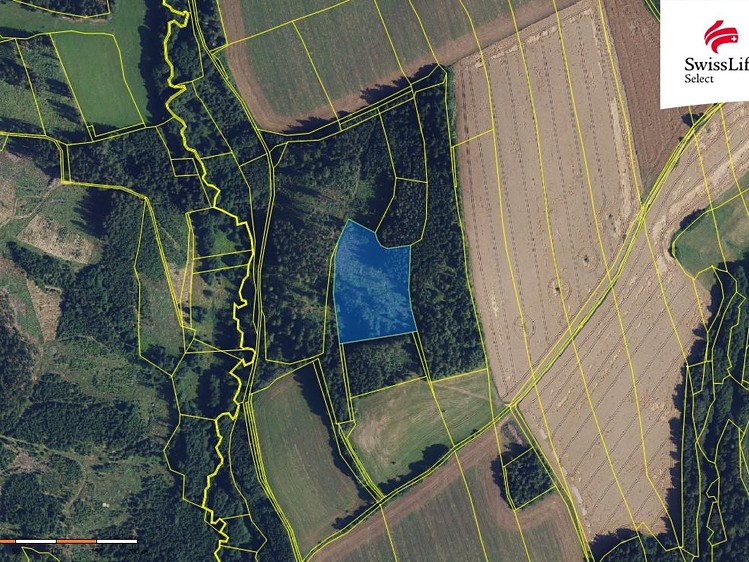 Grundstück zum Kauf, 84.715 m² (4 von 16)
