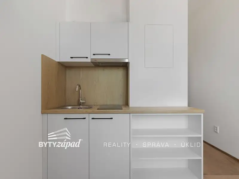 Pronájem bytu 1+kk 21 m², Plzeň – náhled fotky 2