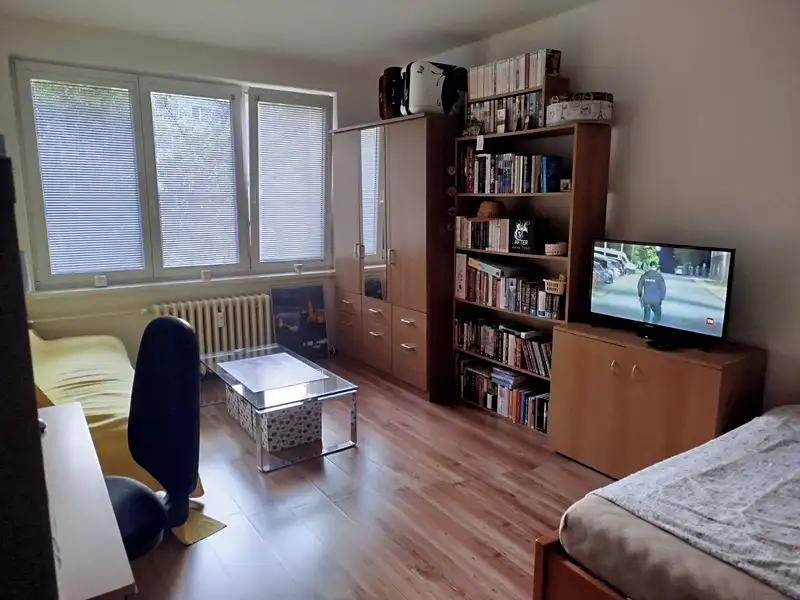Pronájem bytu 1+1 39 m², Ostrava – náhled fotky 2