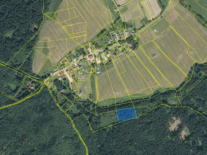 Prodej lesa 6298 m², Mnichov – náhled fotky 1