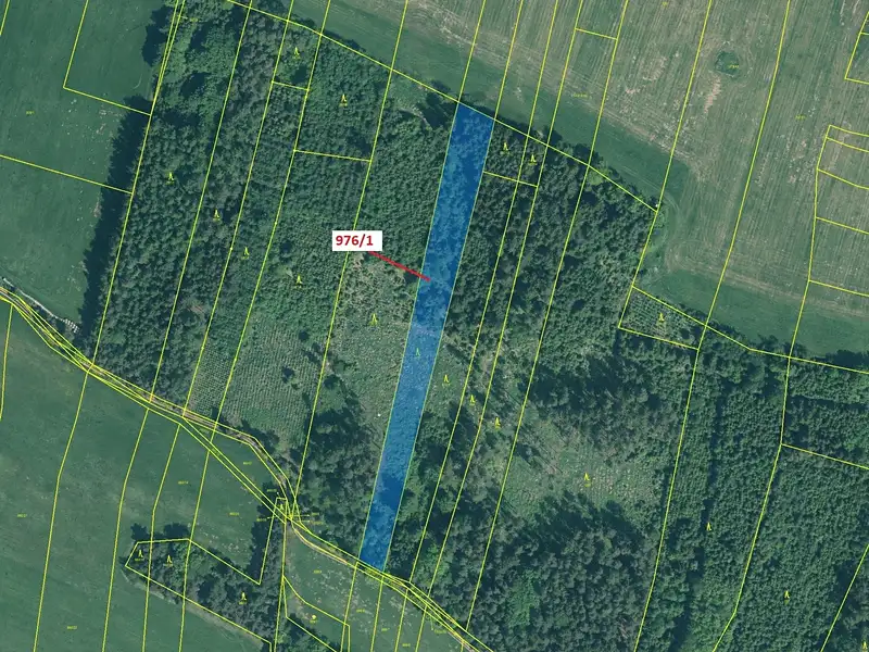 Dražba lesa 5696 m², Záhoří – náhled fotky 2