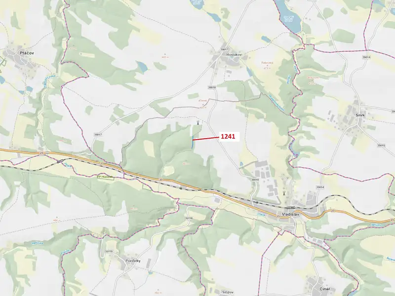 Dražba lesa 2068 m², Vladislav – náhled fotky 1