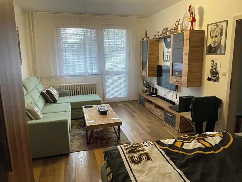 Pronájem bytu 1+1 41 m², Pardubice – náhled fotky 2