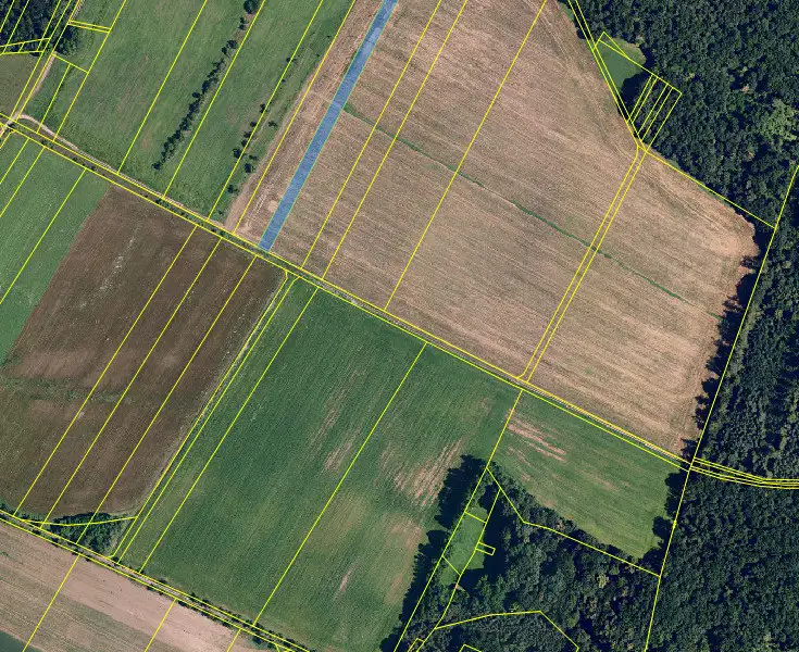 Prodej pole 39475 m², Senorady – náhled fotky 3