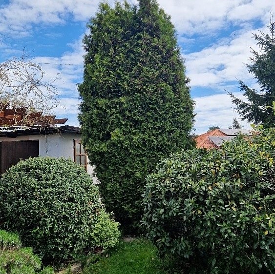 Haus zum Kauf, 176 m² (10 von 100)