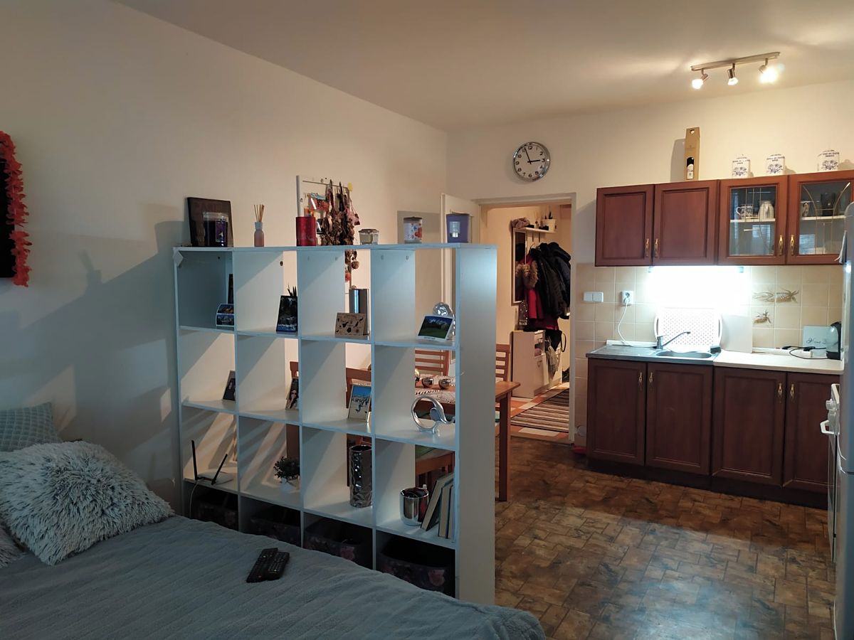 Pronájem bytu 1+kk 34 m² – fotografie 4