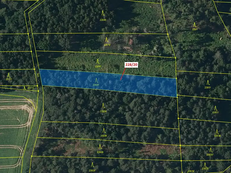 Dražba lesa 1924 m², Břežany – náhled fotky 2