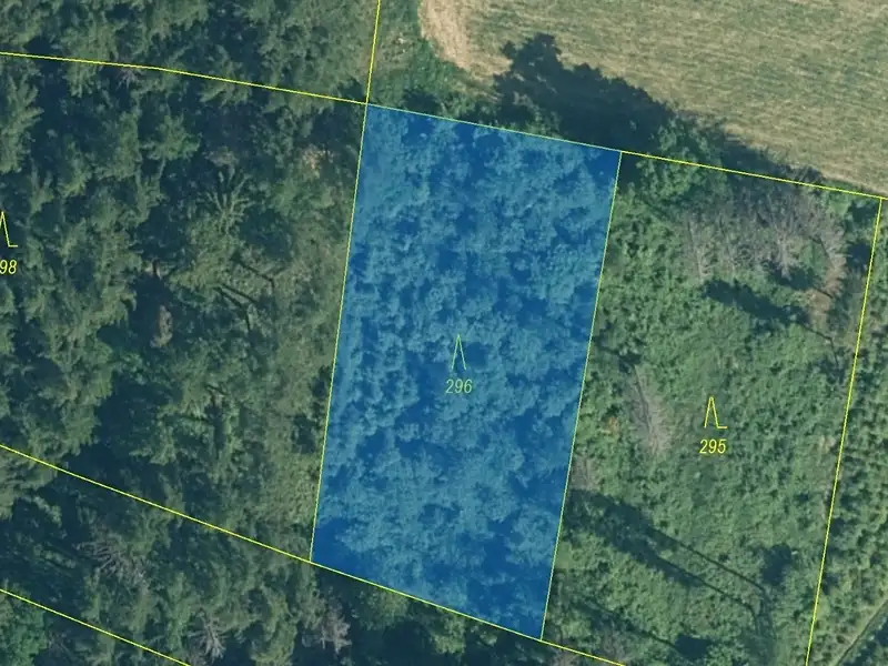 Dražba lesa 1626 m², Kovčín – náhled fotky 2