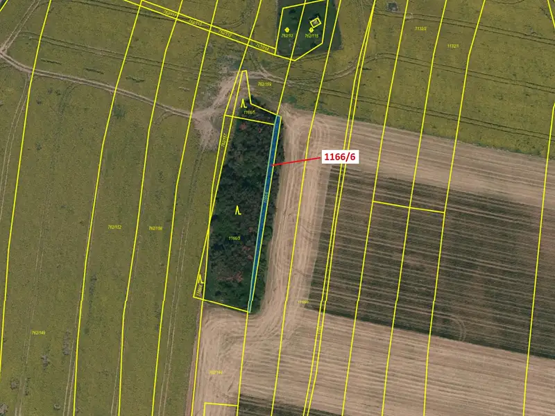 Dražba lesa 219 m², Vladislav – náhled fotky 2